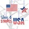 Big Dot of Happiness Stars & Stripes - Memorial Day, 4th of July and Labor Day Patriotic Decorations - Tree Ornaments - Set of 12